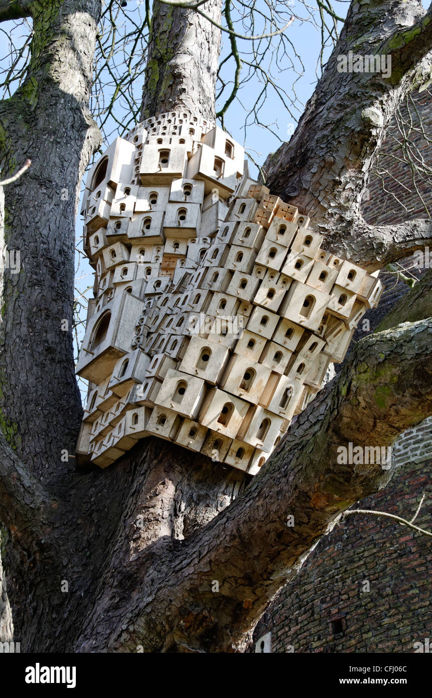 Bird houses mounted in a tree to encourage nesting, by the Cow tower along the river Wensum in Norwich, england. Stock Photo