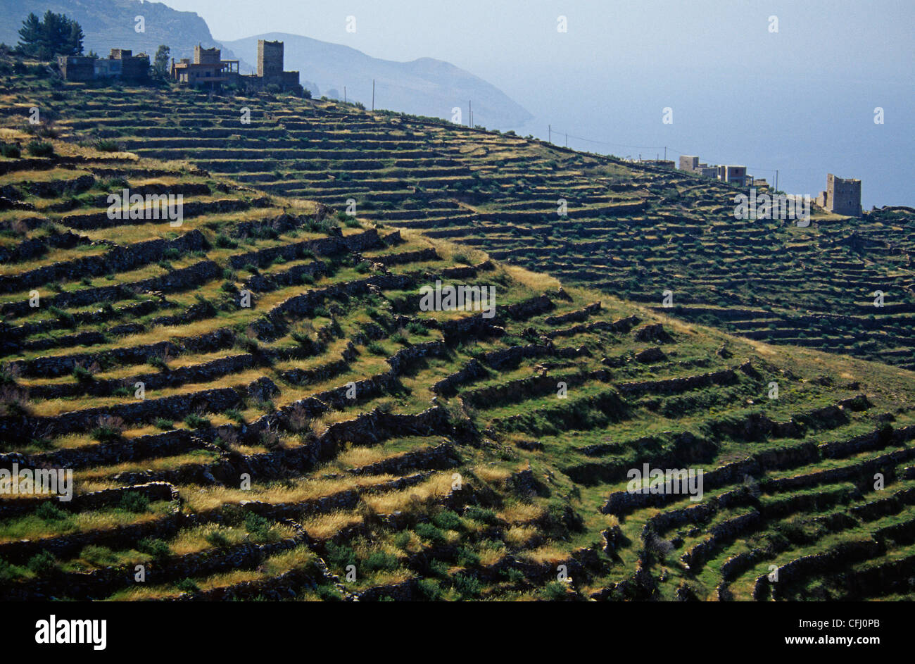 Terraced Fields in the Mani Stock Photo