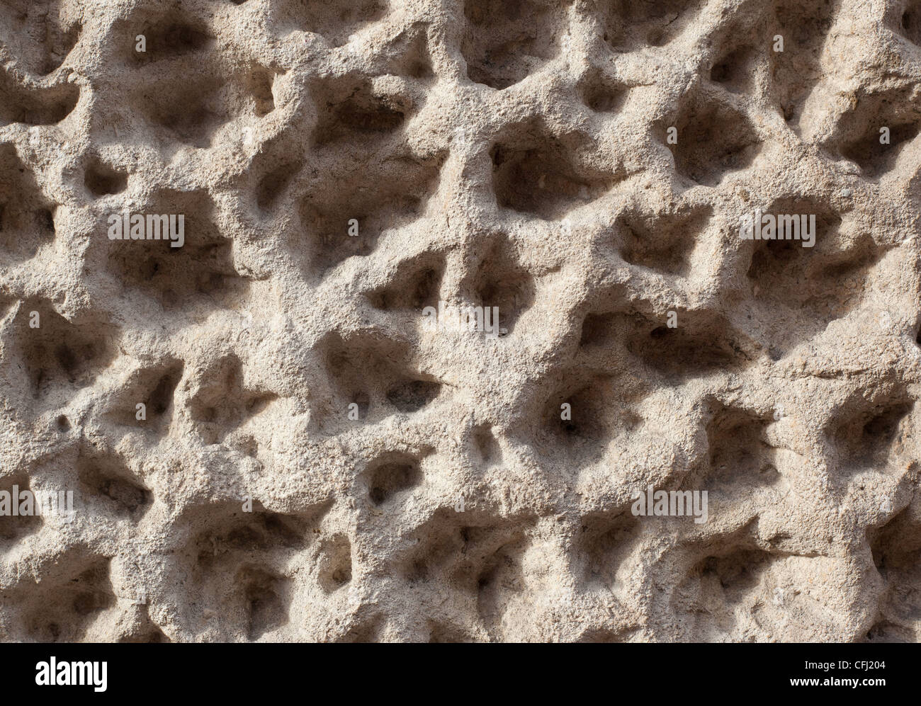 Large Stone With Holes Close Up Stock Photo, Picture and Royalty