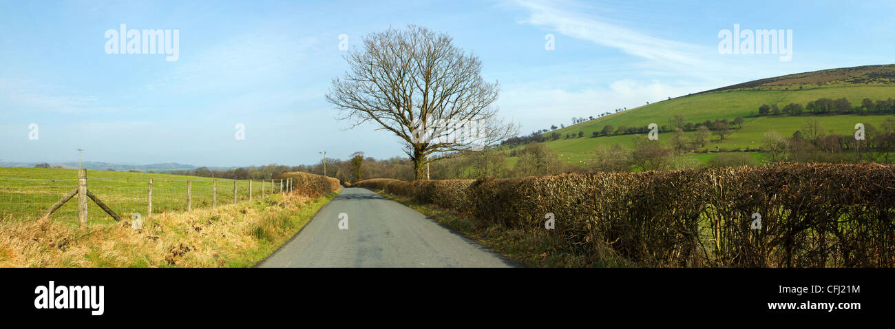 Narrow country road panorama near Garth, Wales UK. Stock Photo