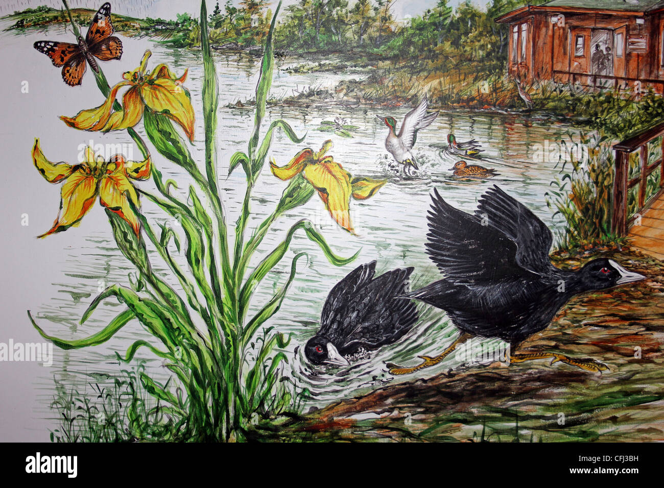 Painting Of The Visitor Centre And Pond At Mere Sands Wood Nature Reserve, UK Stock Photo