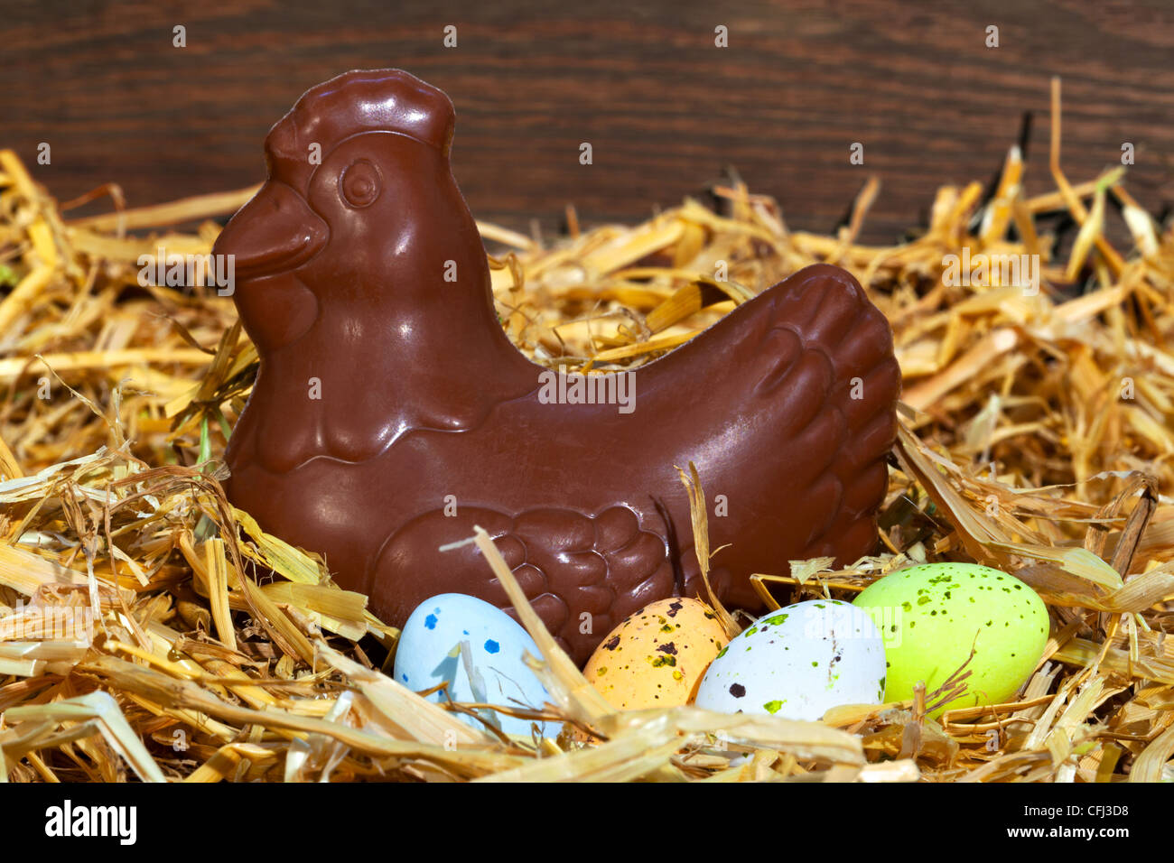 Still life photo of a chocolate hen sitting on some speckled candy