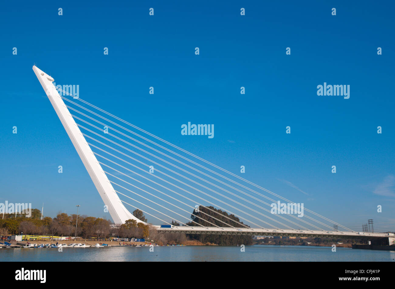 Puente del Alamillo bridge (1992) by Santiago Calatrava central Seville Andalusia Spain Stock Photo