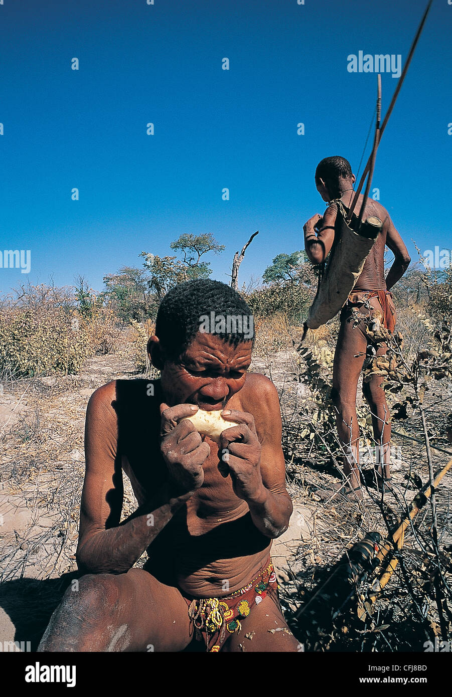 Bushmen are on hunting trip Kalahari Namibia Stock Photo