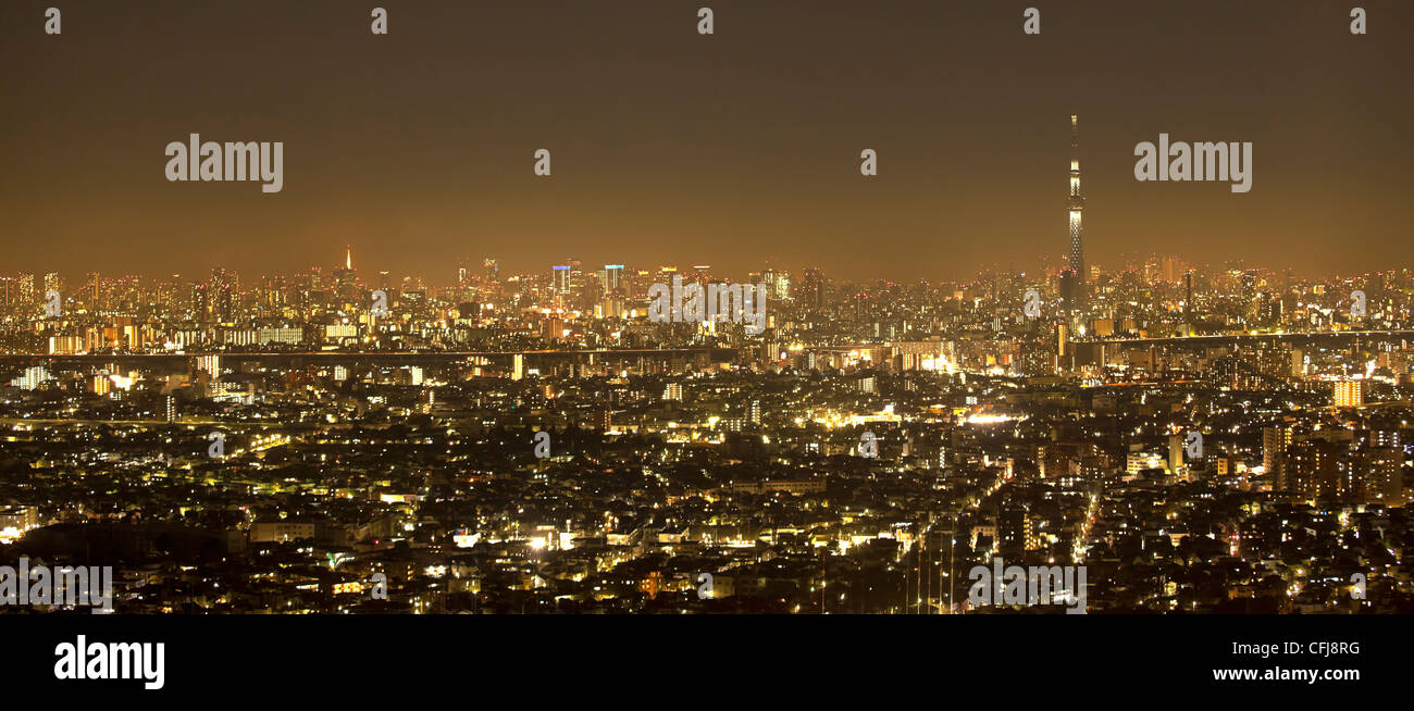 Vew of night Tokyo with Sky Tree Stock Photo