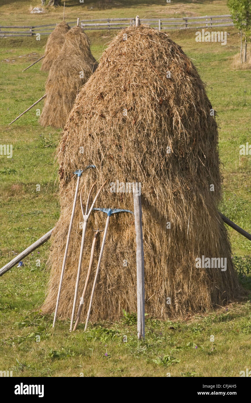 Image of a hayrick and specific tools for haywork in a Romanian