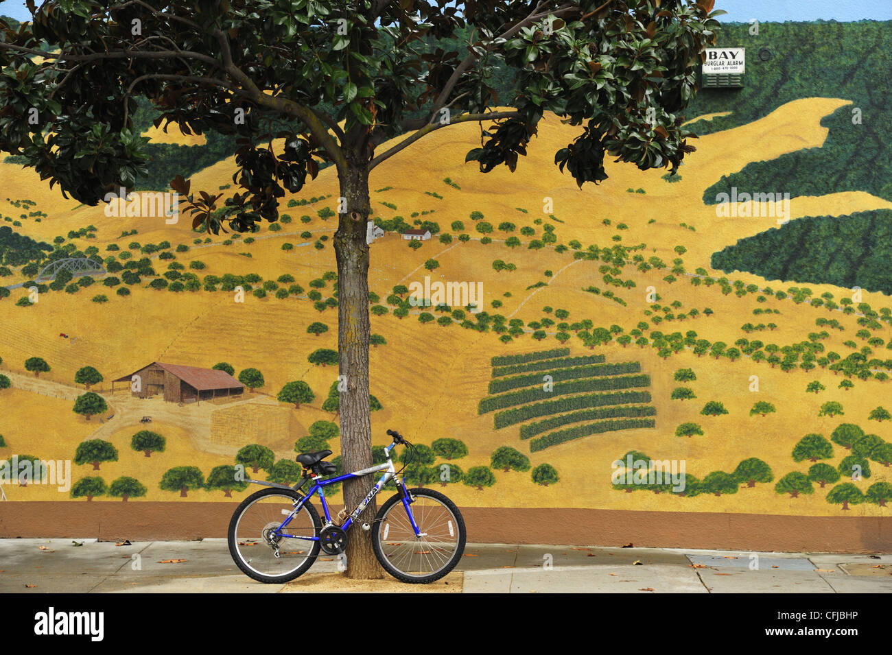 A blue mountain bike in front of a mural painting, Pleasanton CA Stock Photo