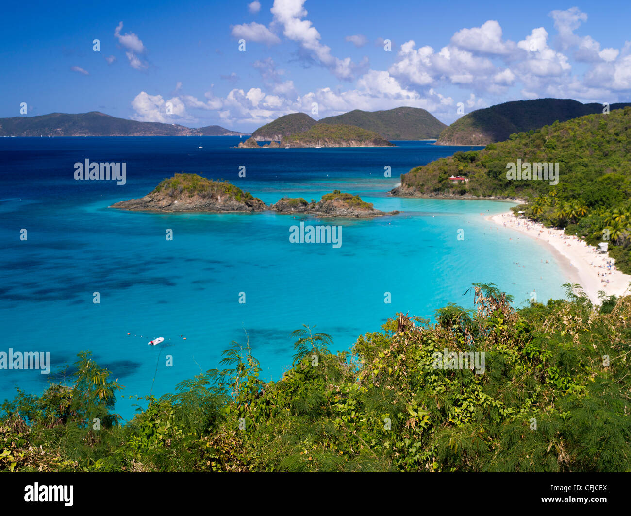 Underwater trail trunk bay hires stock photography and images Alamy