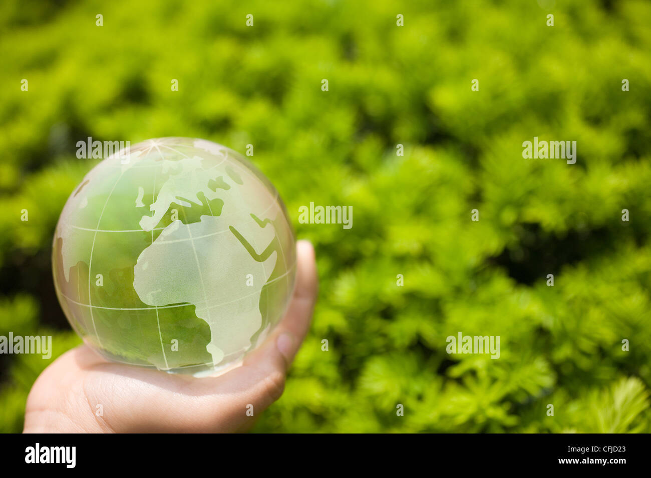 Hand holding a glass globe in front of blurred green background Stock ...