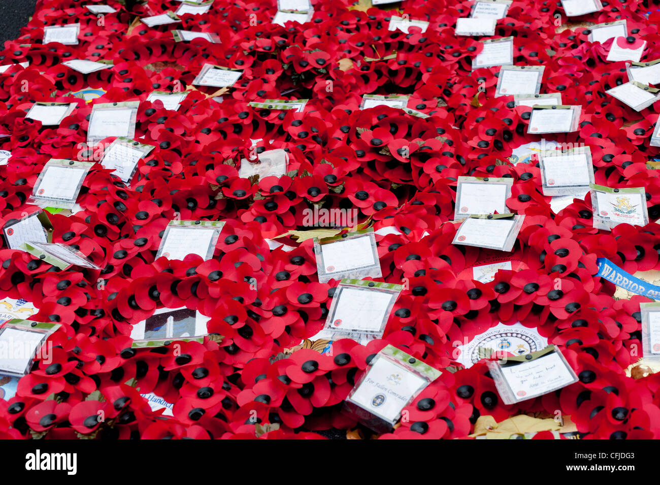 Remembrance day poppies at London's Cenotaph, Whitehall. Stock Photo