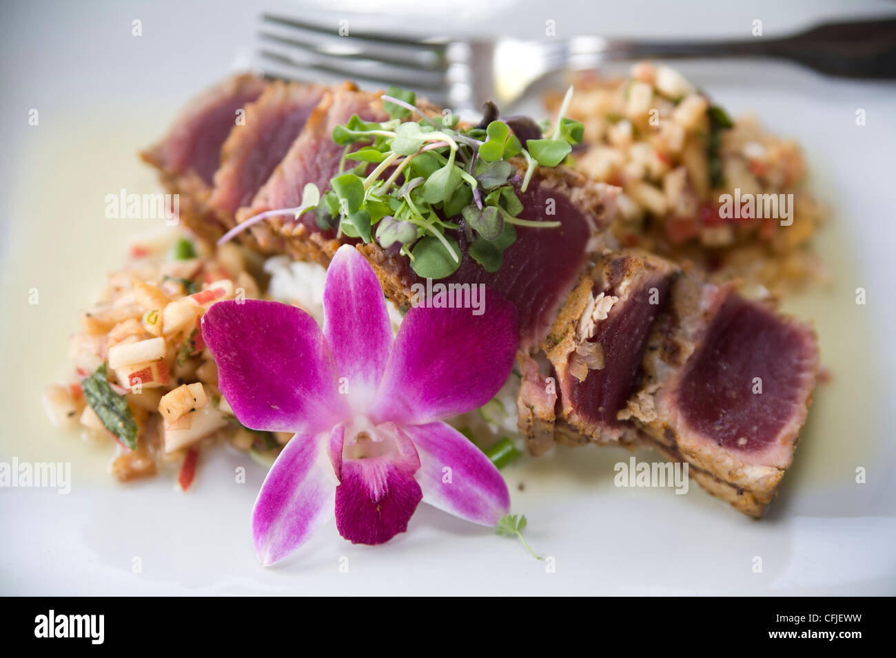 Seared Ahi tuna on a bed of fresh fruit salsa Stock Photo Alamy