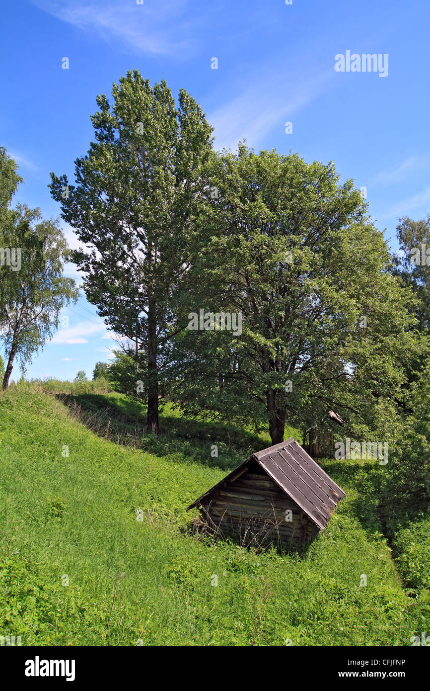 wooden house in green wood Stock Photo Alamy