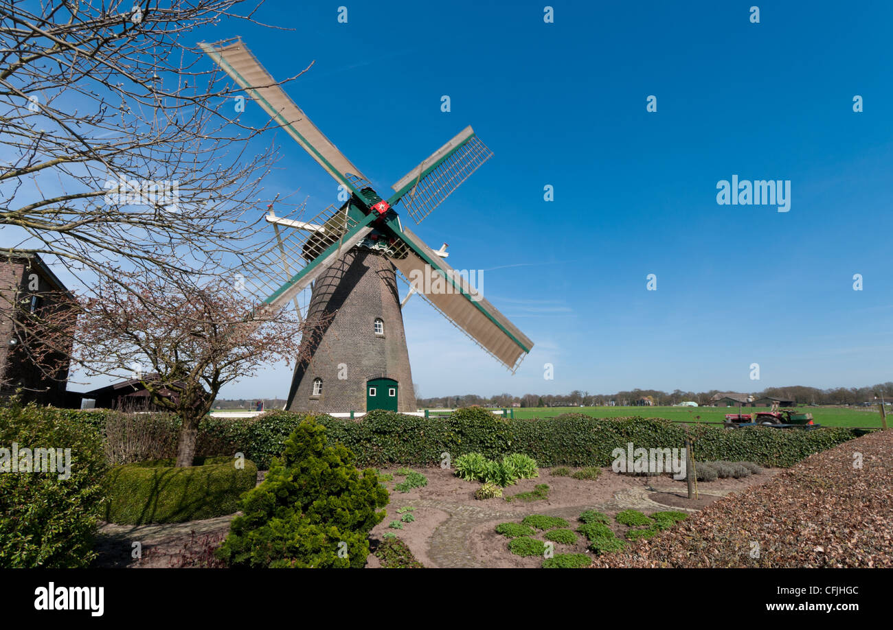 working dutch windmill in Gorssele, netherlands Stock Photo