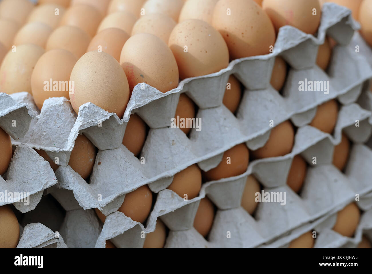 Fresh eggs are sold for 5,50 CZK at Zelny trh (Grocery market) in Brno, Czech Republic, March 9, 2012. (CTK Photo/Igor Sefr) Stock Photo