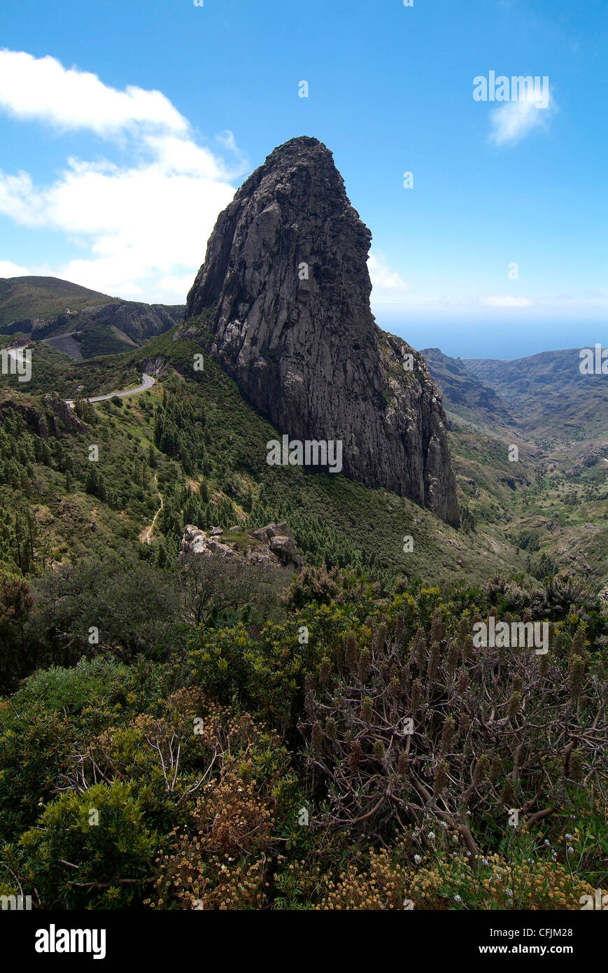 Parque Nacional de Garajonay, UNESCO World Heritage Site, Gomera, Canary Islands, Spain, Europe Stock Photo
