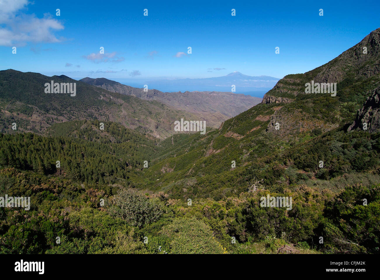 Parque Nacional de Garajonay, UNESCO World Heritage Site, Gomera, Canary Islands, Spain, Europe Stock Photo