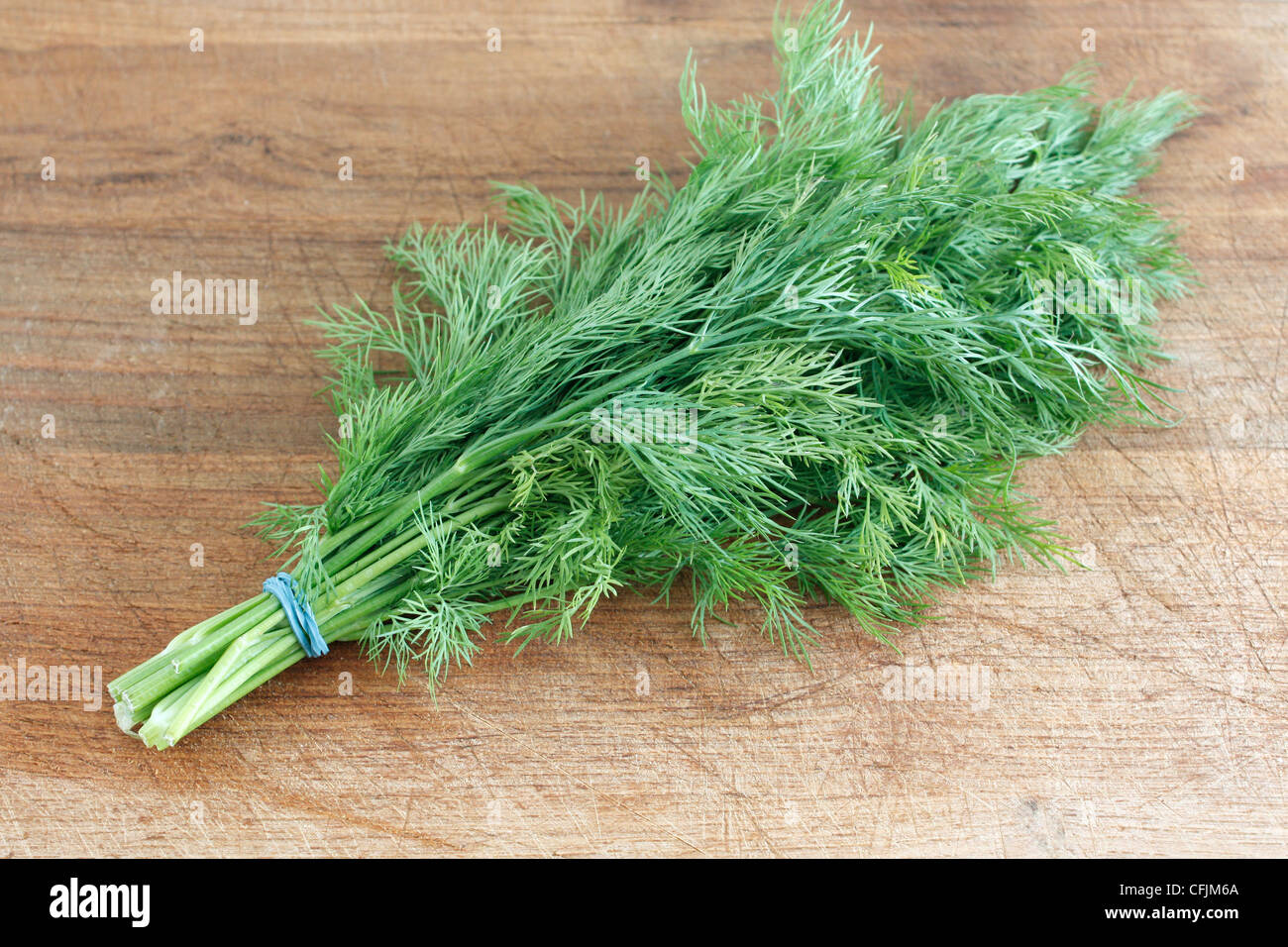 Seasoni hires stock photography and images Alamy