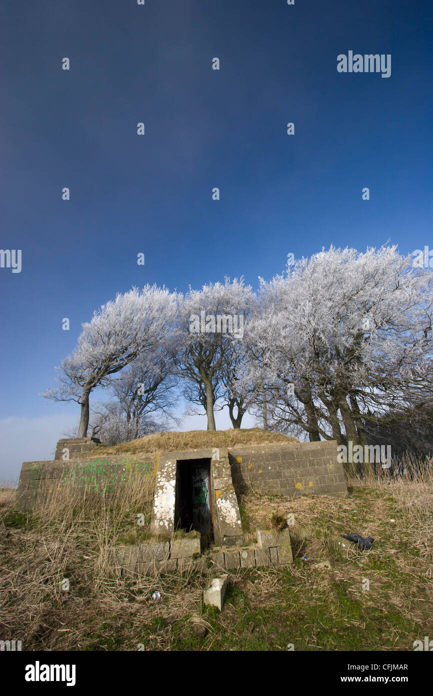Frozen and windswept trees with concrete world war II bunker on top of Liddington Hill near Swindon Stock Photo