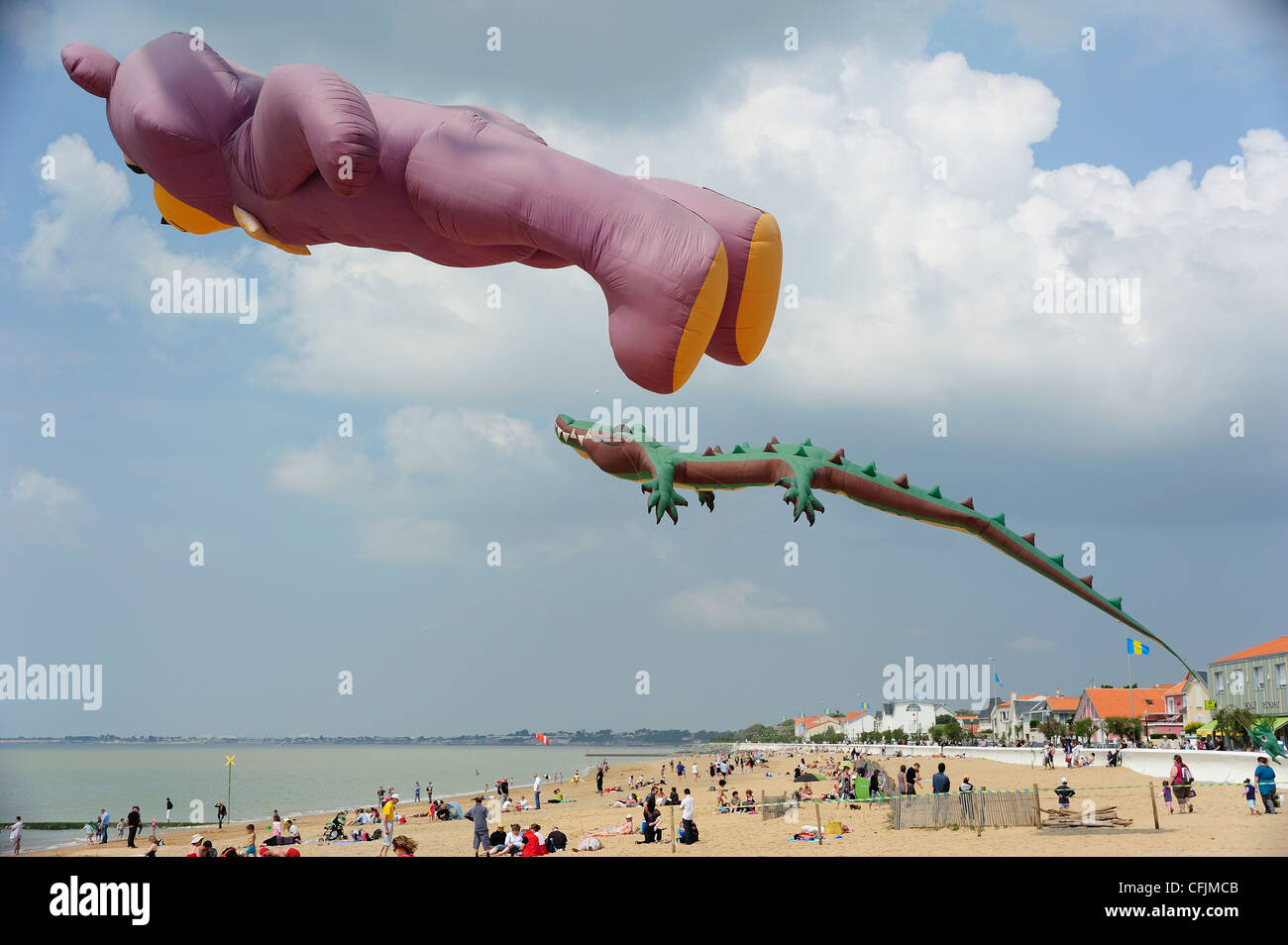 Kite festival, Charente Maritime, France, Europe Stock Photo