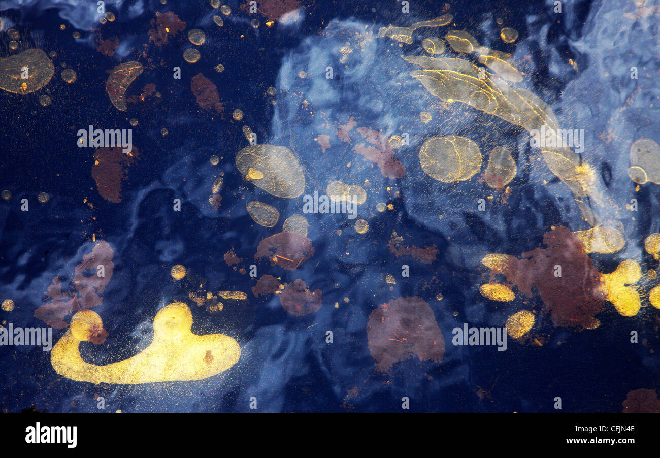 Air bubbles in ice, flooded by brown water, Norway spring Stock Photo