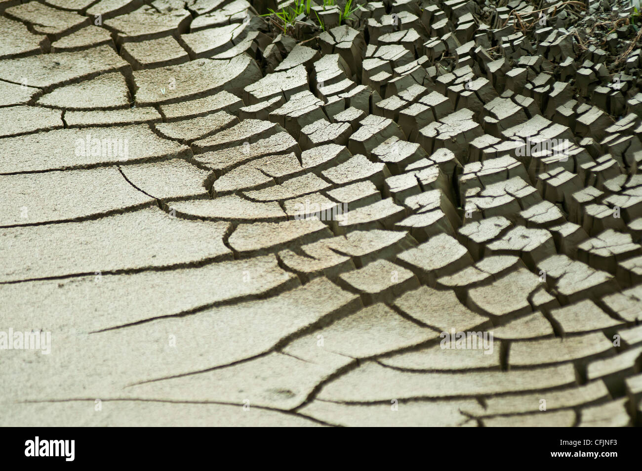 Dry heavy cracked Earth as a result of drought, parched mud Stock Photo