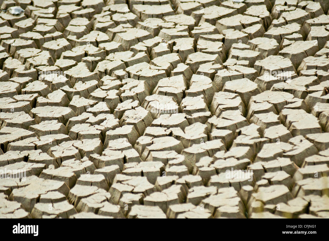 Dry heavy cracked Earth as a result of drought, parched mud, global warming alert, greenhouse effect danger Stock Photo