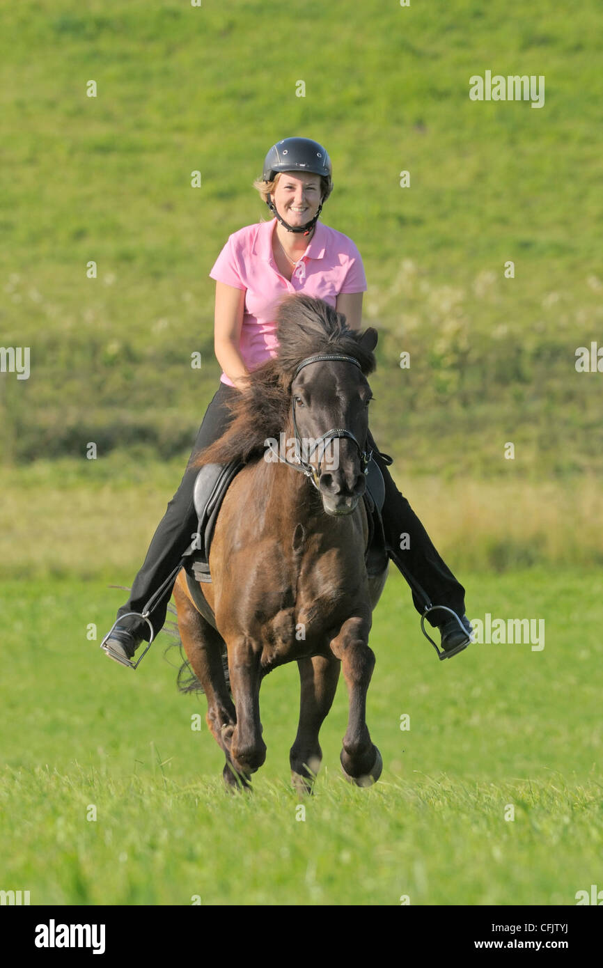 Young rider on back of a galloping Icelandic horse Stock Photo