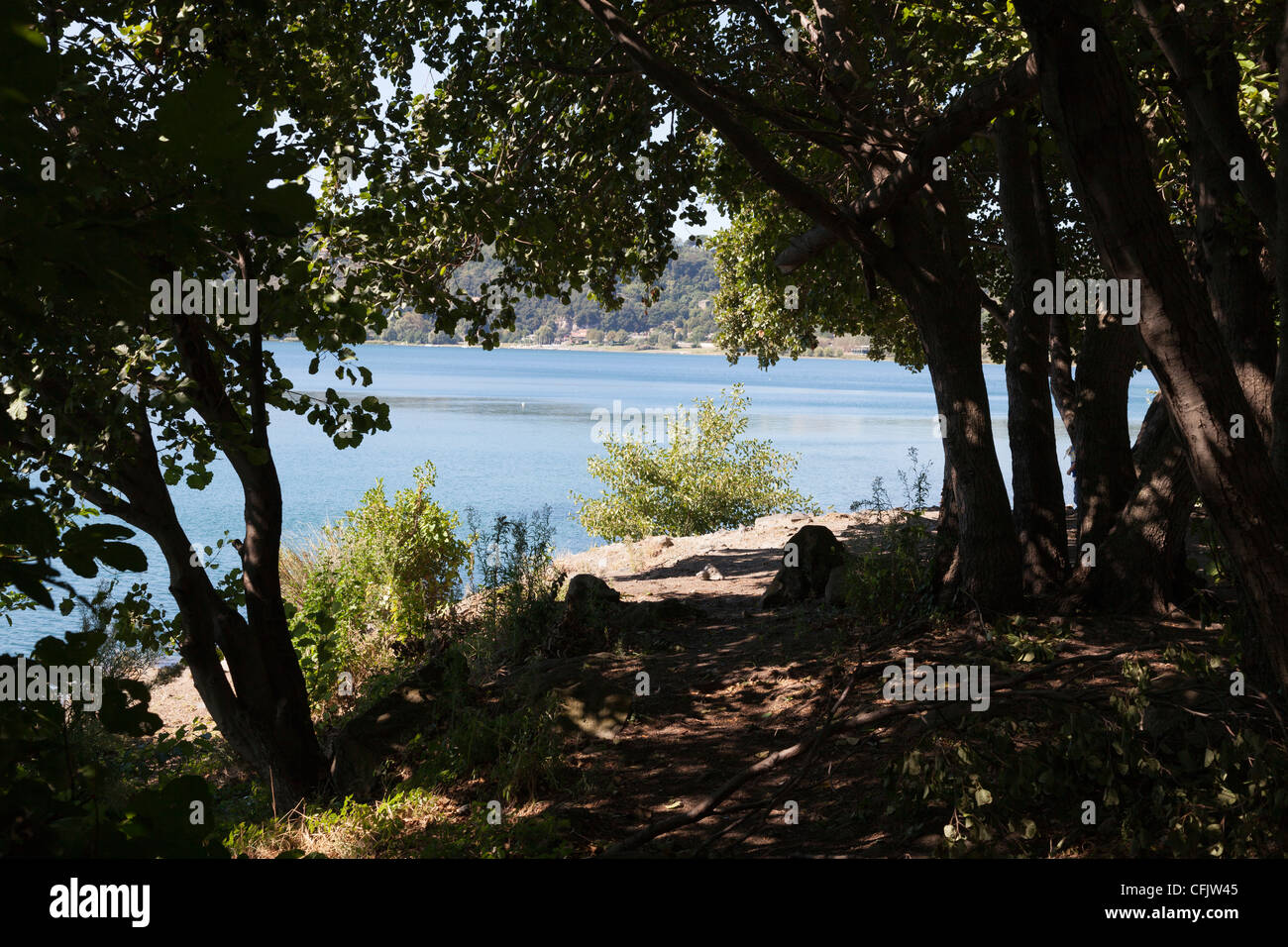 view of lake through trees from shade to sunshine Stock Photo