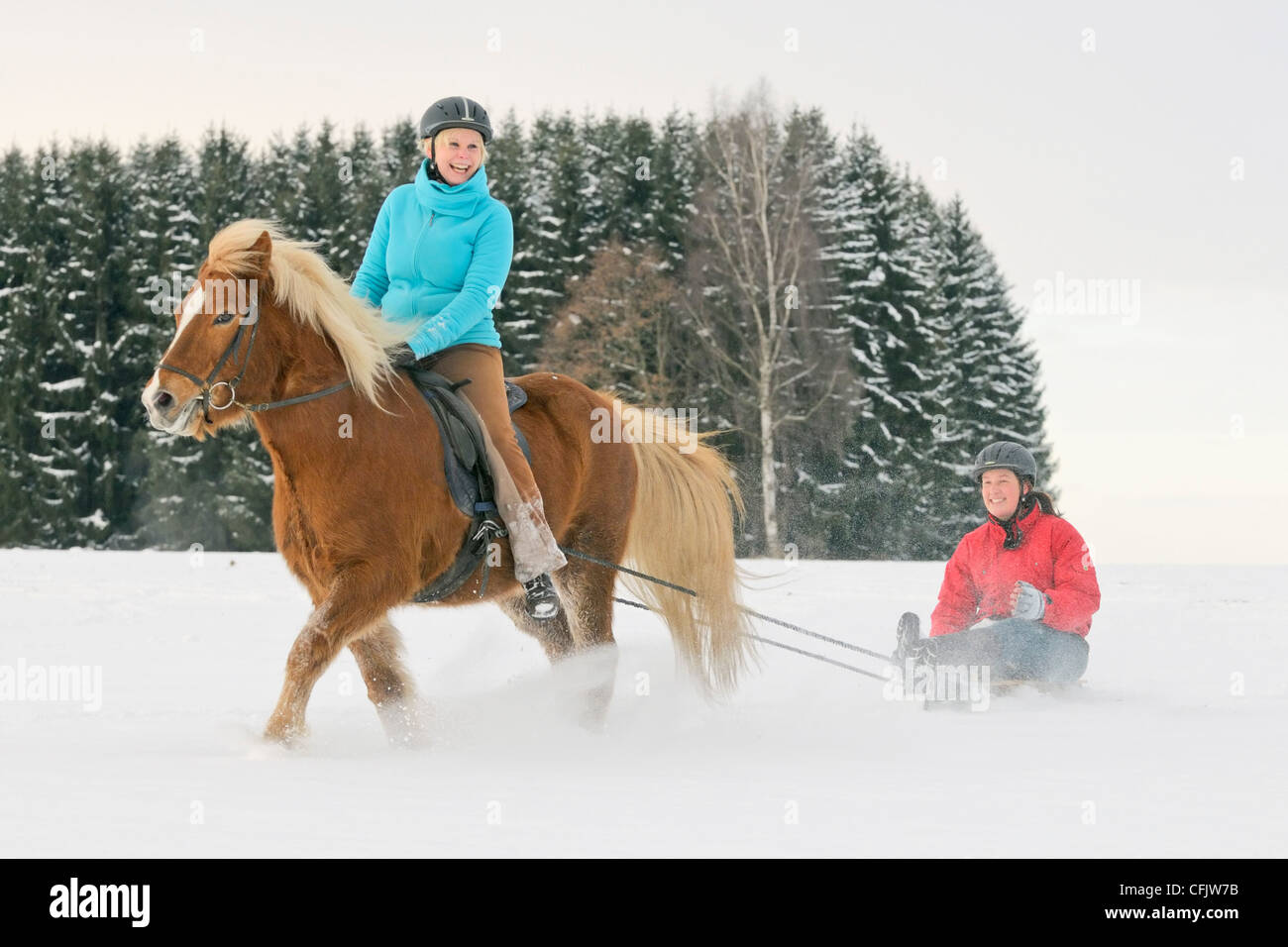 Horse And Sleigh Drawing