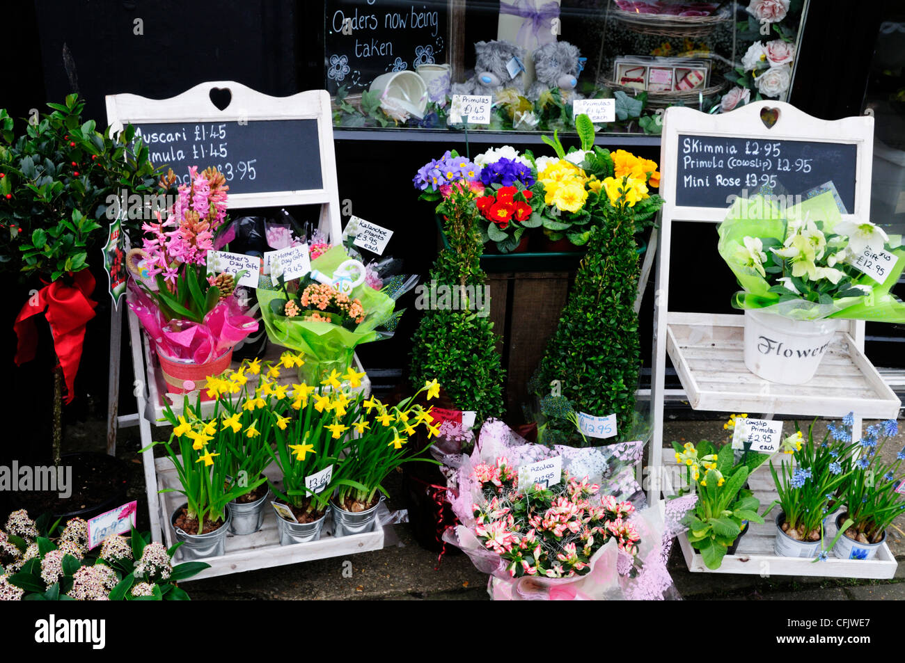 Florist's Shop Display, Cambridge, England, UK Stock Photo Alamy