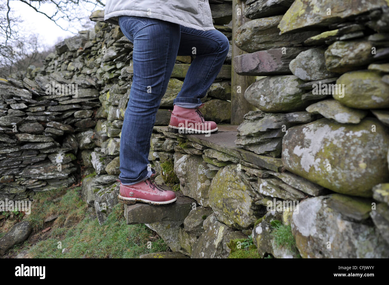 Woman wearing pink Timberland walking boots climbing a slate wall style in  The Lake District Cumbria UK Stock Photo - Alamy