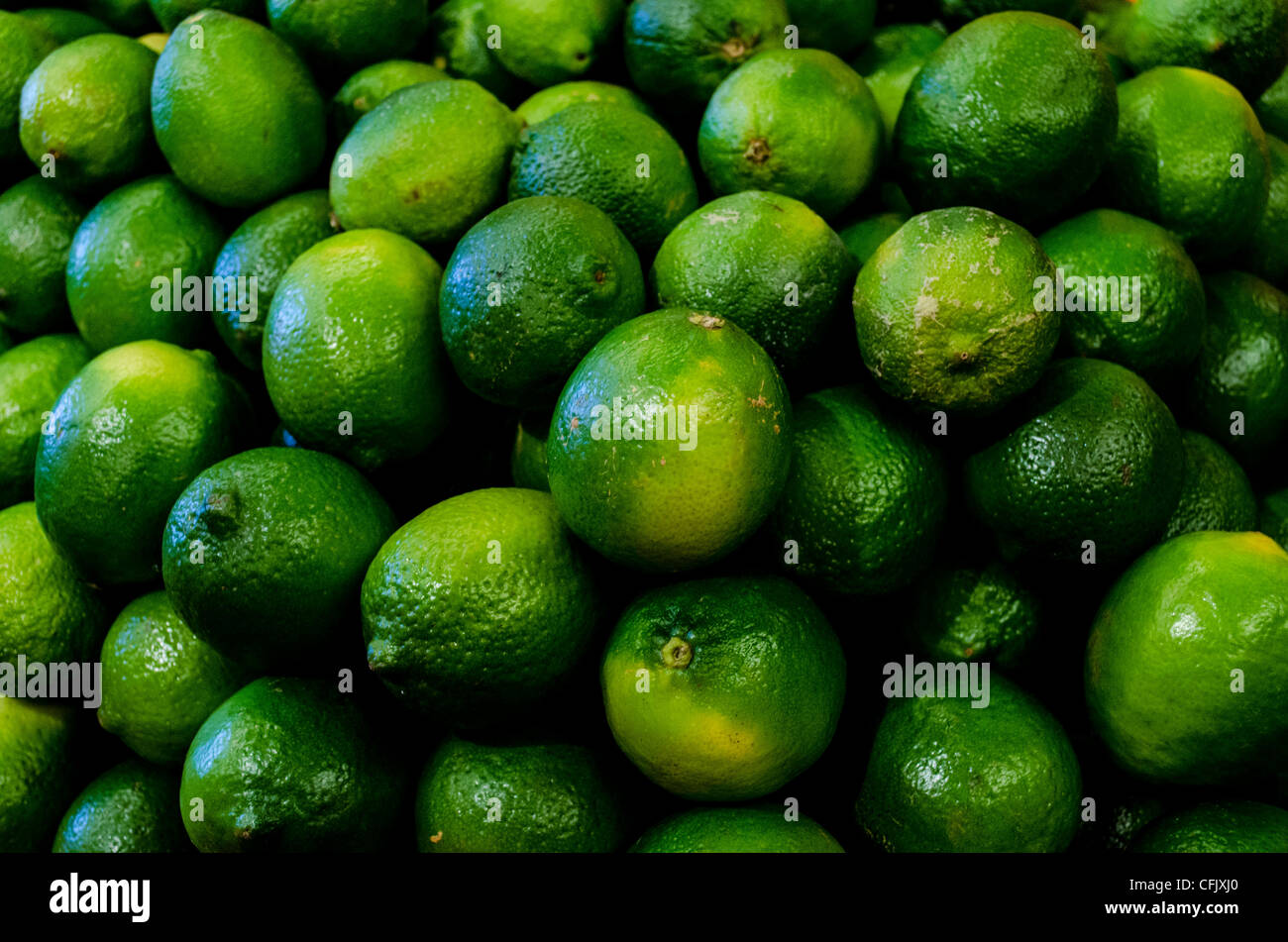 Limes Stock Photo