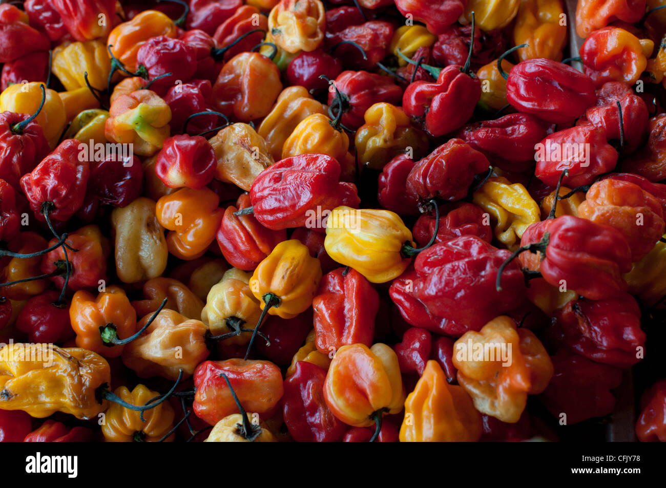 Many chillies hi-res stock photography and images - Alamy
