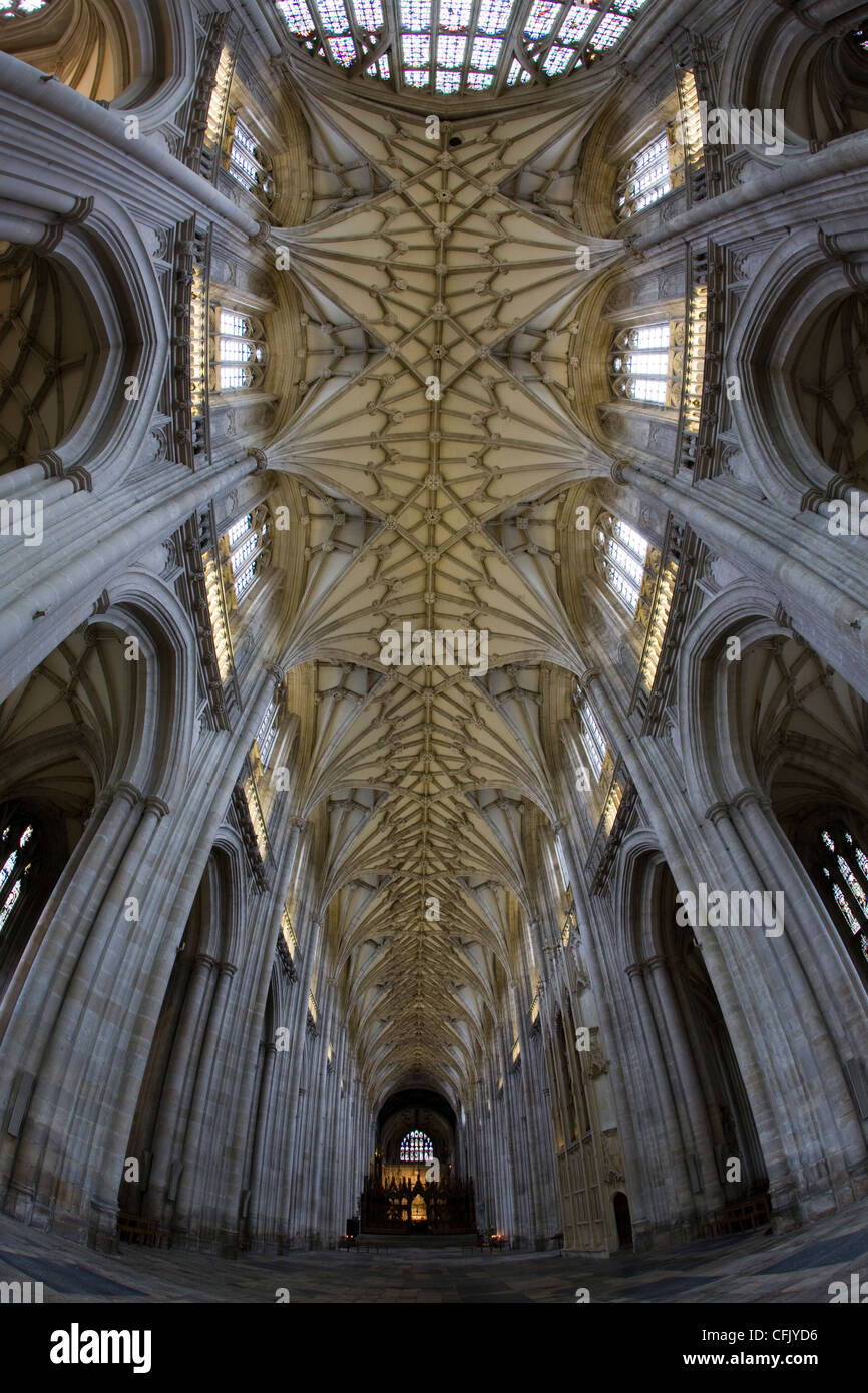 The interior and fan vaulted ceiling of Winchester Cathedral in Winchester, Hampshire Stock Photo