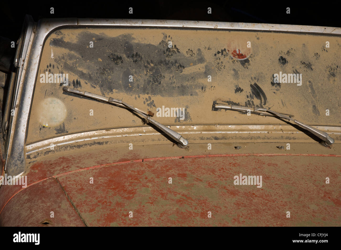 Very dirty, dusty and muddy windscreen of an MG midget car dumped in a farmyard barn Stock Photo