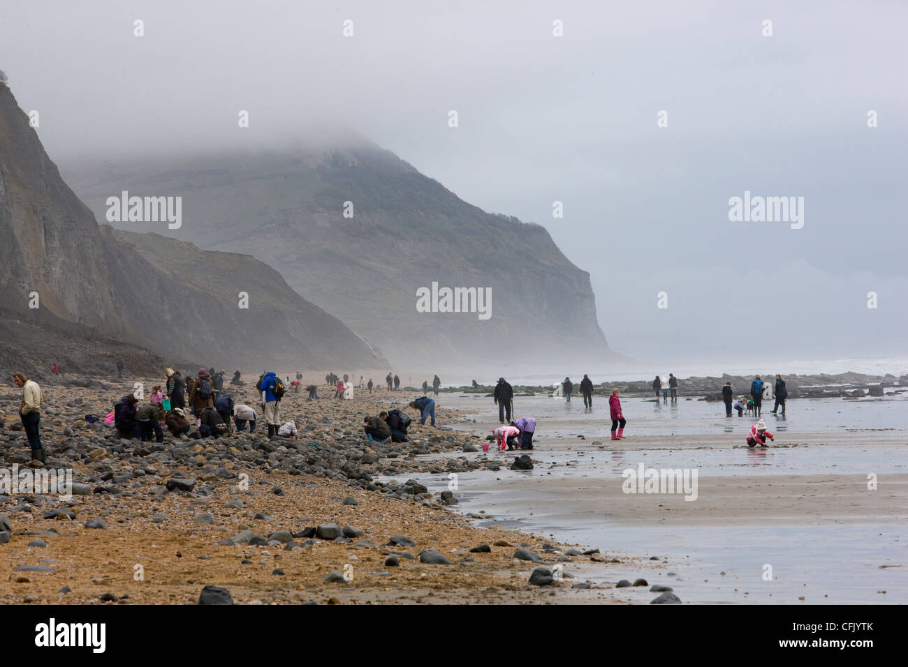 Charmouth beach, busy with fossil hunters looking for fossils after a recent storm Stock Photo