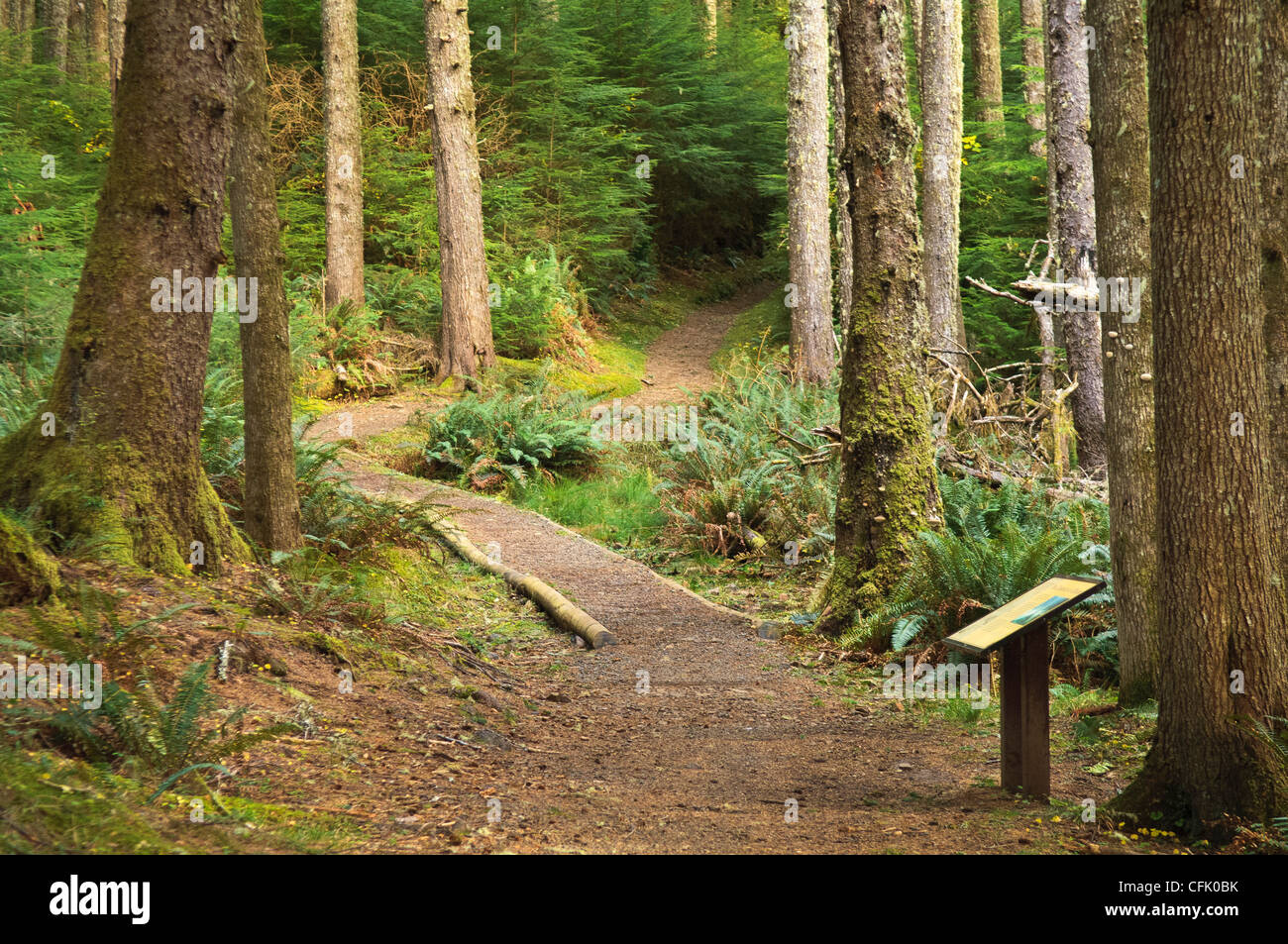 Oregon Coast Trail at Ecola State Park on the northern Oregon coast. Stock Photo