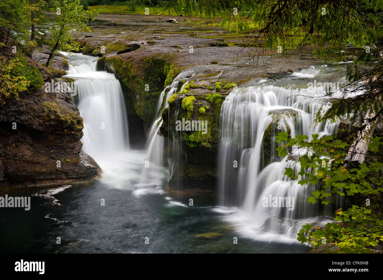 Lower Lewis Falls, Lewis River, Gifford Pinchot National Forest