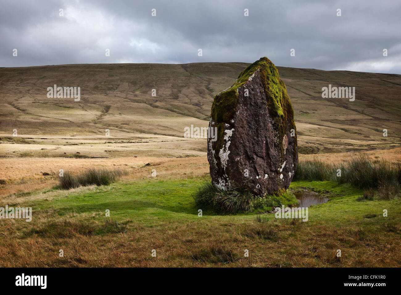 Maen Llia standing stone, Brecon Beacons National Park, Powys, Wales, UK Stock Photo