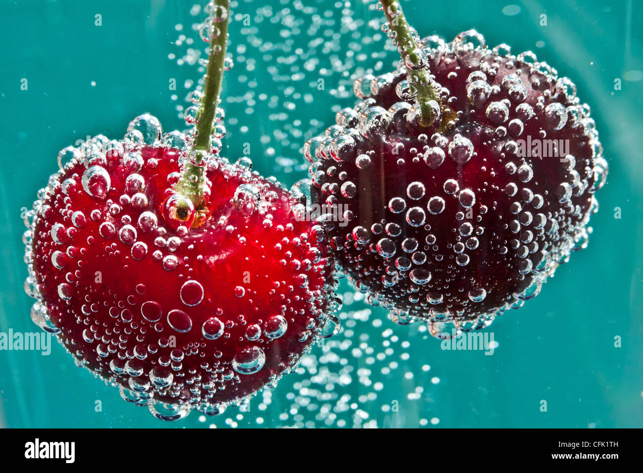 Cherry cocktail in fizzy soda water against an electric blue