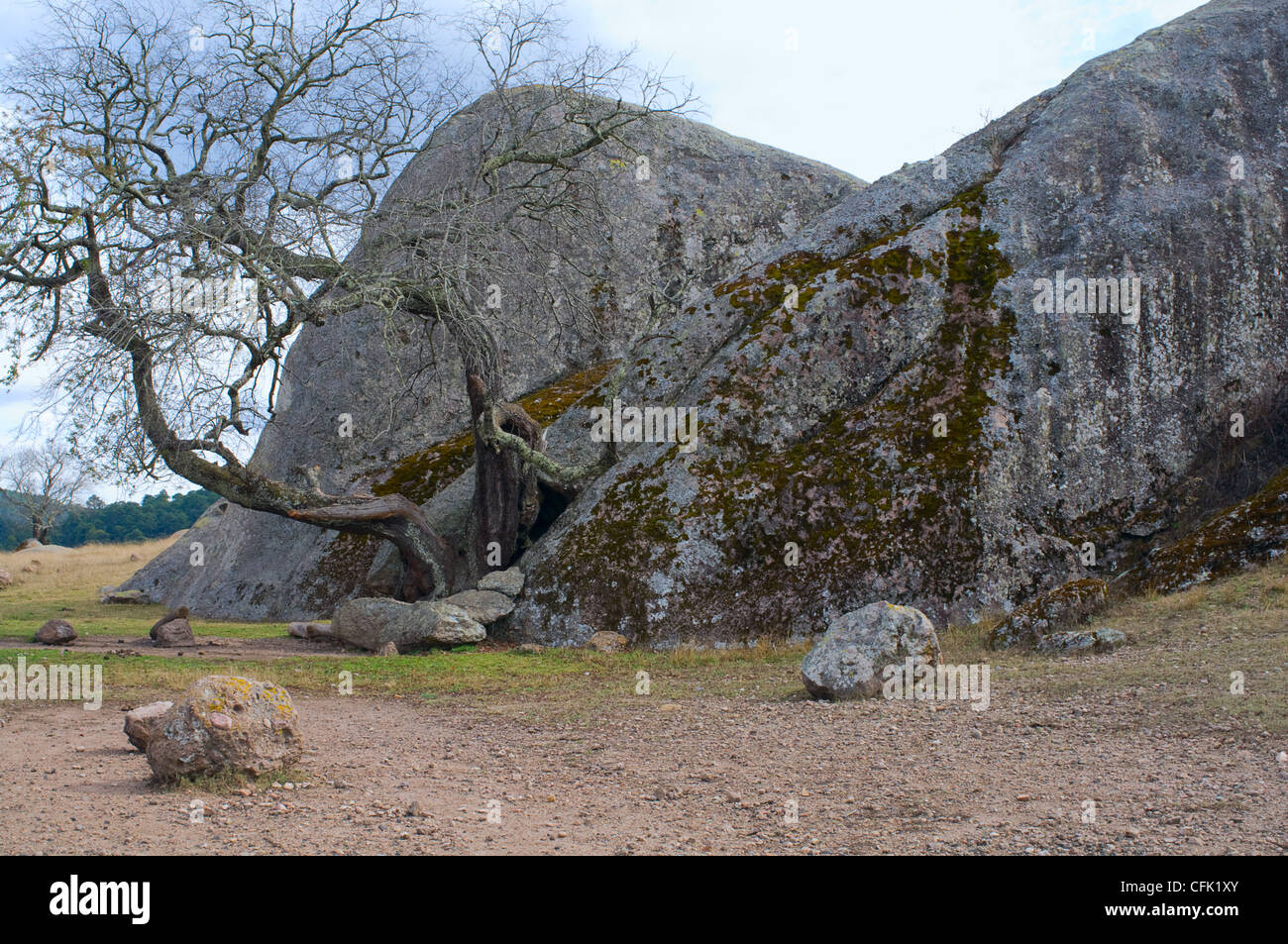 Large rocks and tree in the Valley of the Enigmas near Tapalpa in Jalisco Mexico Stock Photo