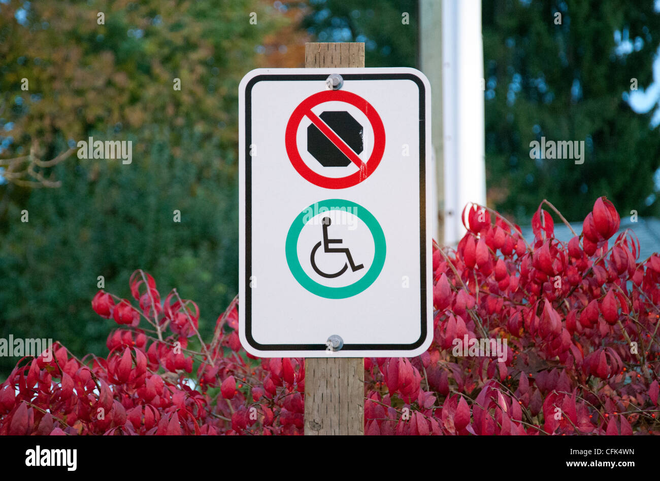 Wheel chair parking sign Stock Photo Alamy