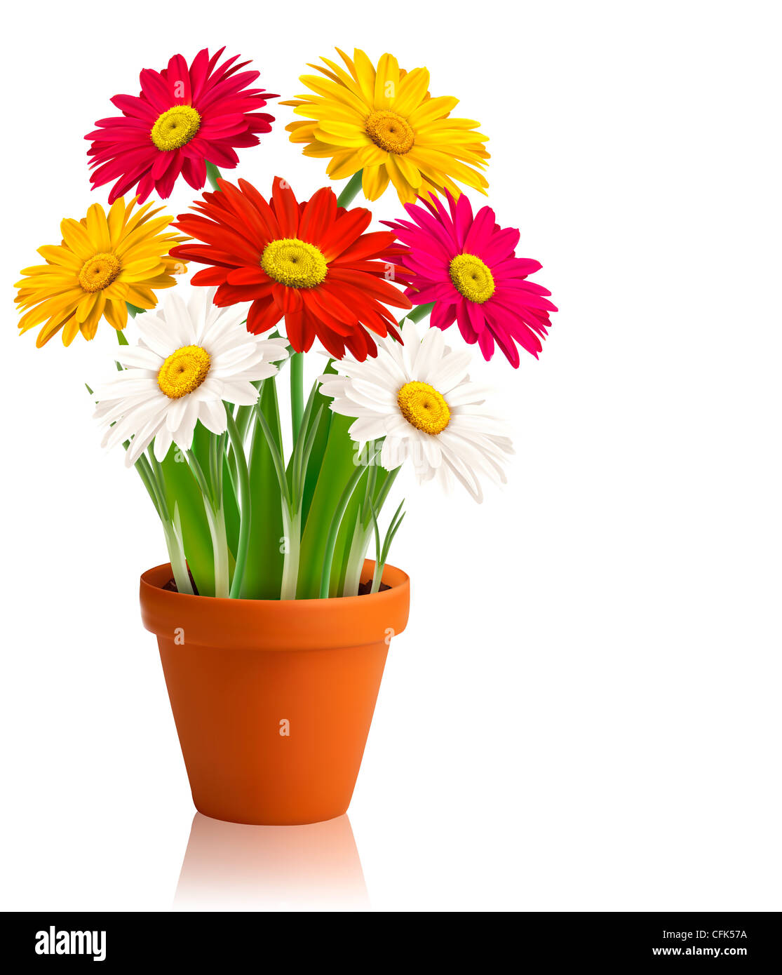 Fresh flowers in a pot Stock Photo Alamy