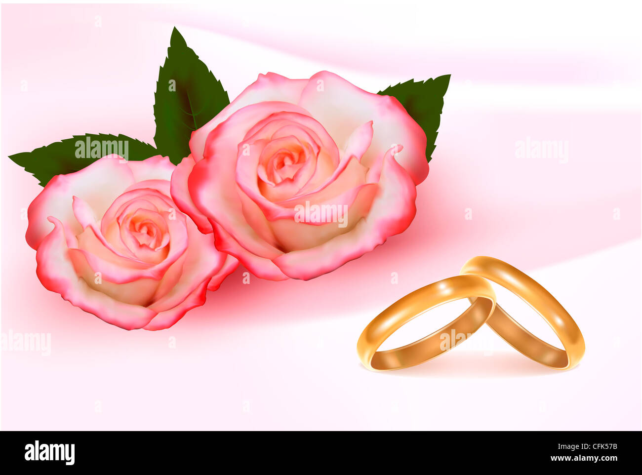 Two Roses Ring Gold wedding rings in front of two pink roses Stock Photo - Alamy