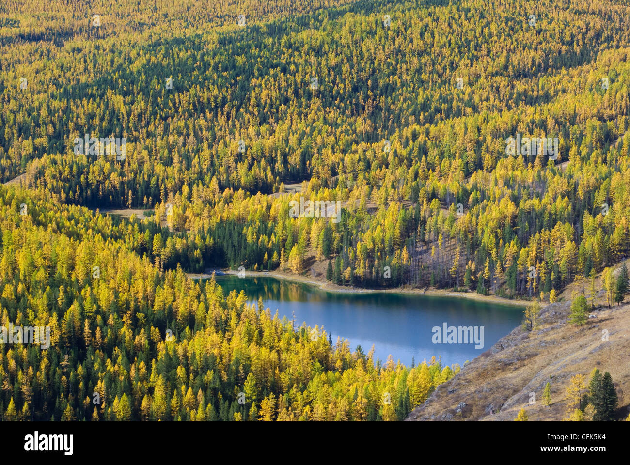 Autumnal landscape with varicolored forest and lake Stock Photo - Alamy