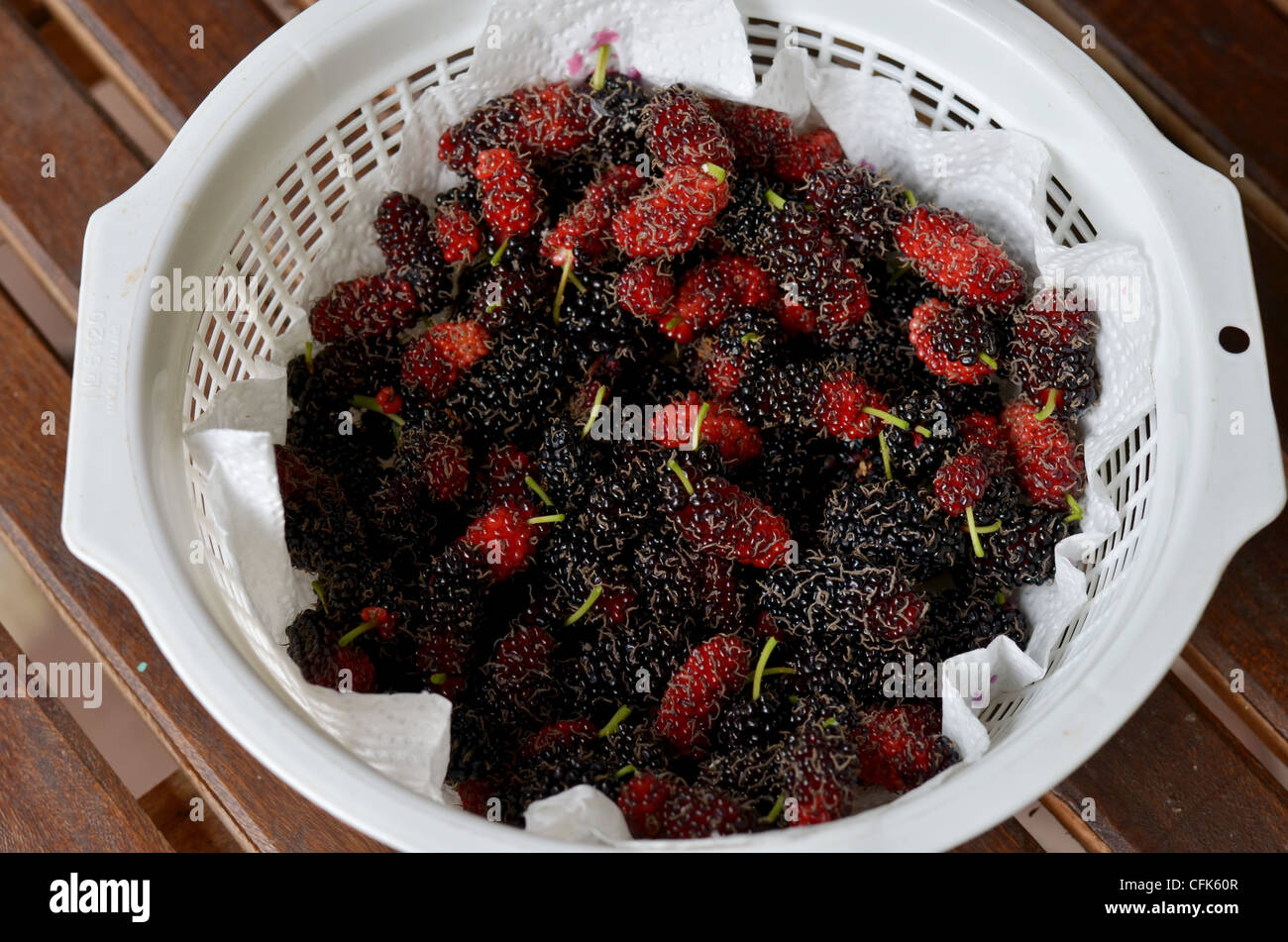 fresh mulberries in white basket Stock Photo