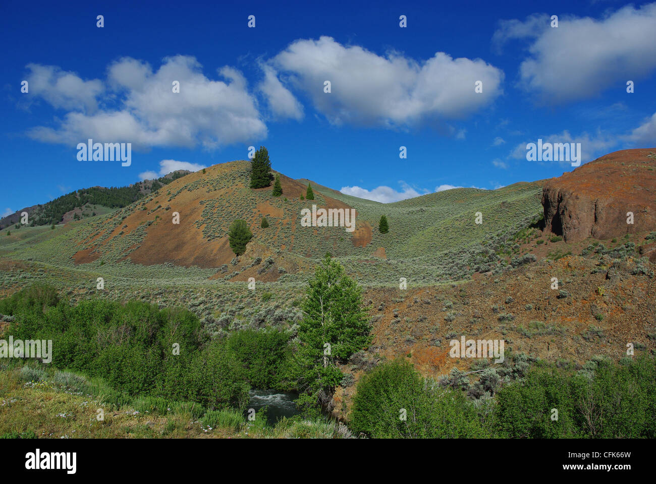 Stream, high valley and mountains, Salmon Challis National Forest, Idaho Stock Photo