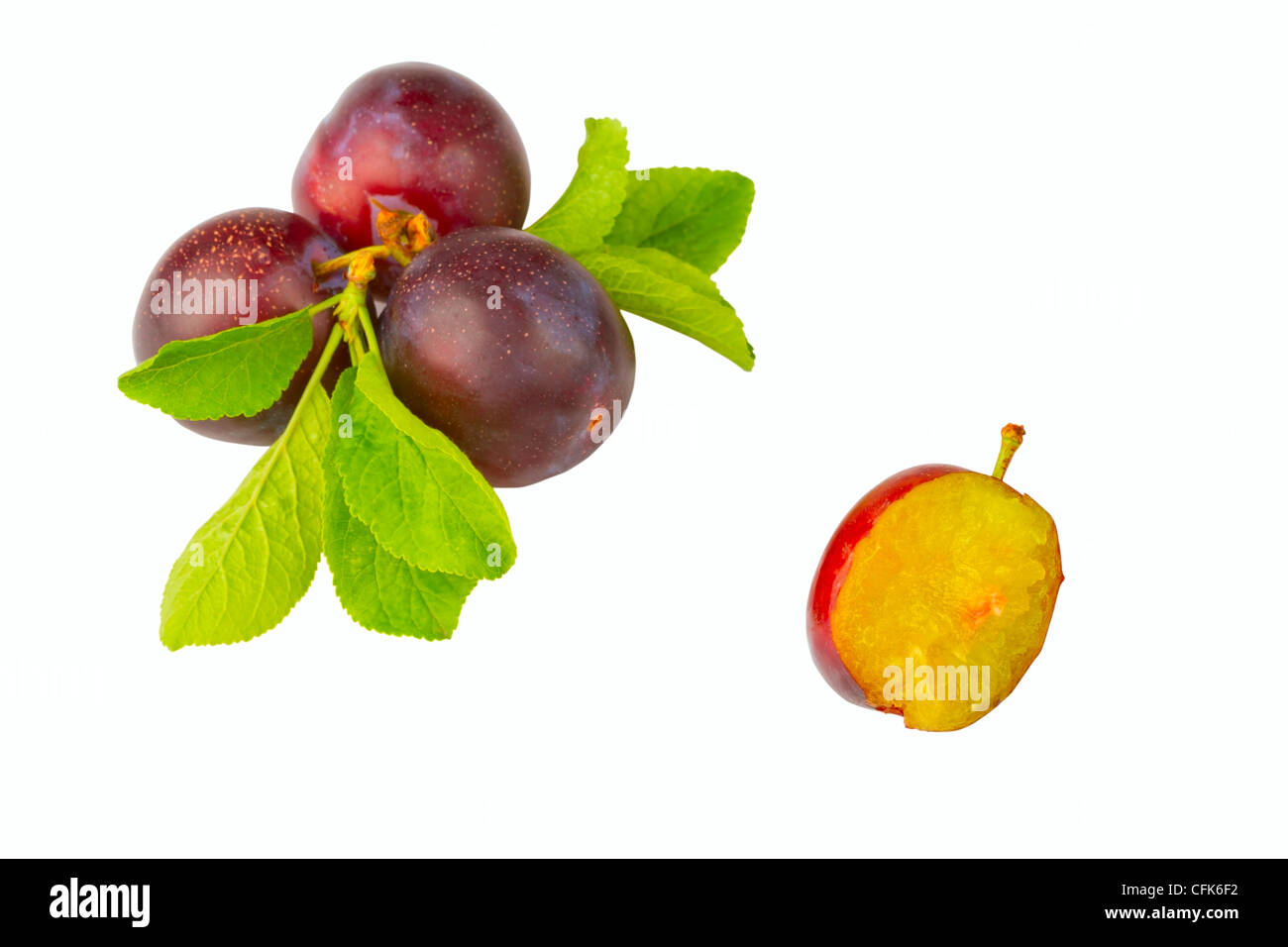 ripe plum isolated on a white background Stock Photo - Alamy