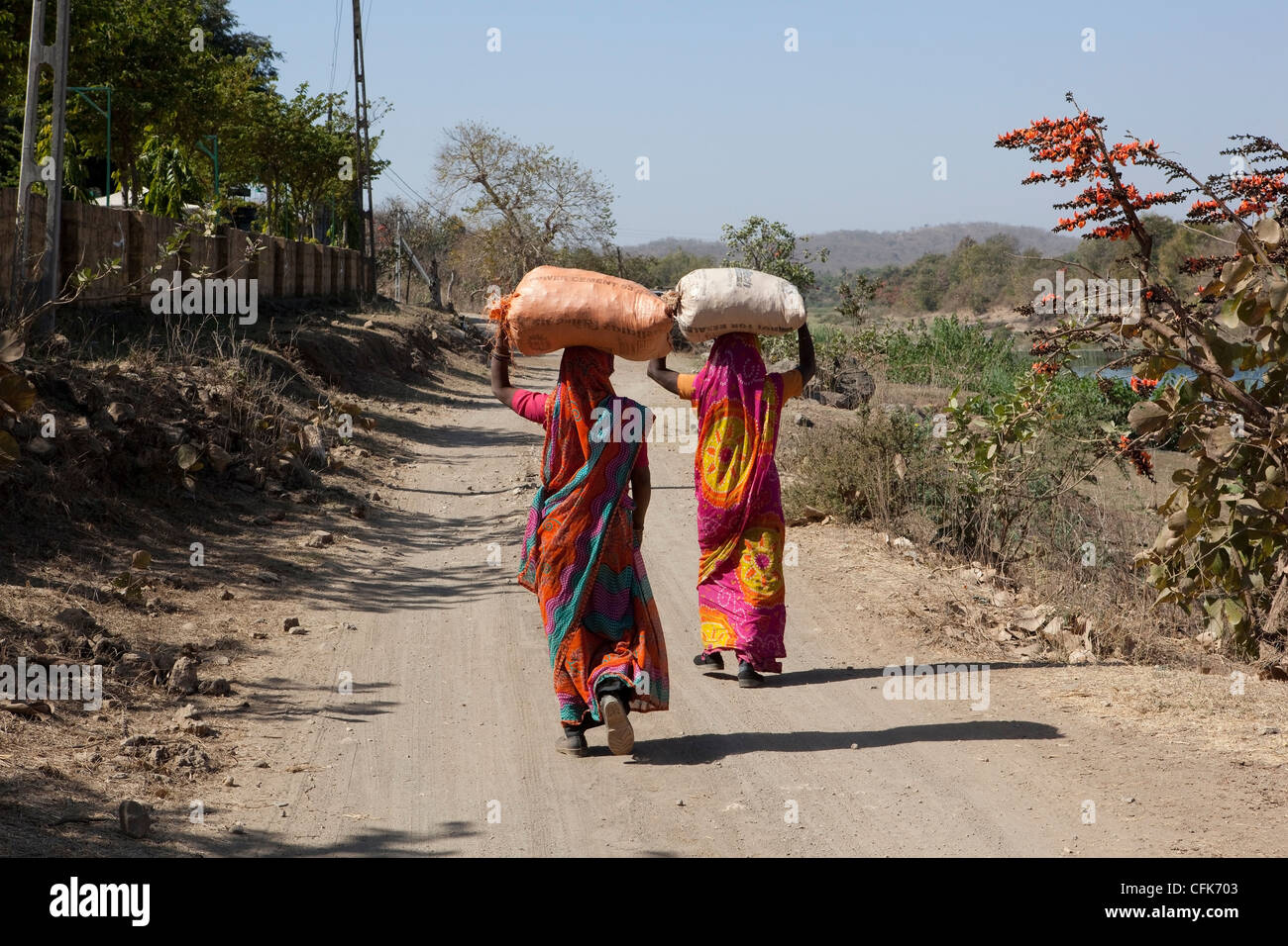 two Gujarati ladies walking down a dirt track carrying sacks near the nature reserve of Sasan Gir in India Stock Photo