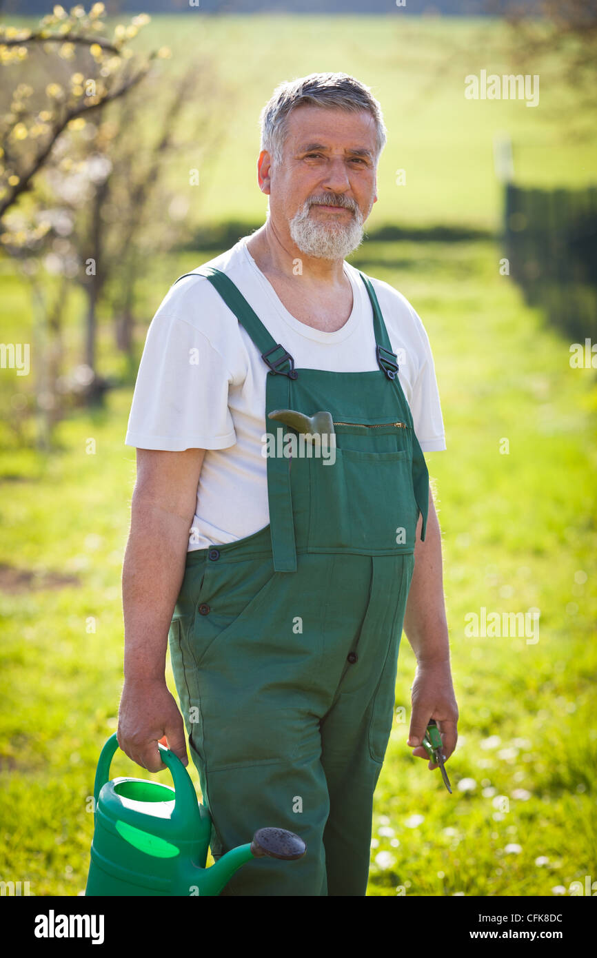 Portrait of a senior man gardening in his garden Stock Photo - Alamy